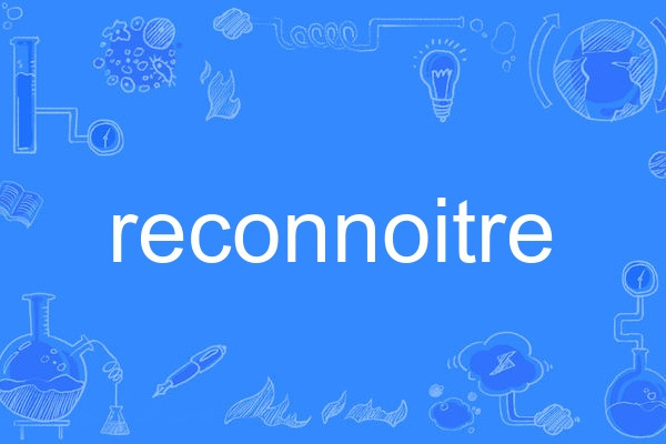reconnoitre reconnoitre