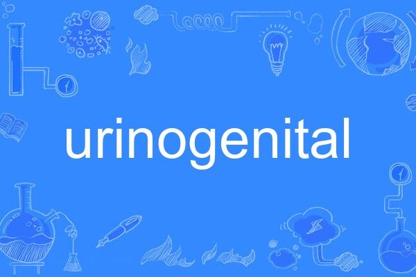 urinogenital urinogenital