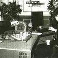 深藍(投資領域術語) 深藍(投資領域術語)