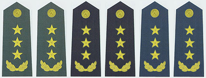 陸海空軍上將常服肩章(2007～)