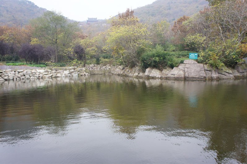 高伊村 高伊村