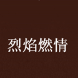 烈焰燃情(都市小說)