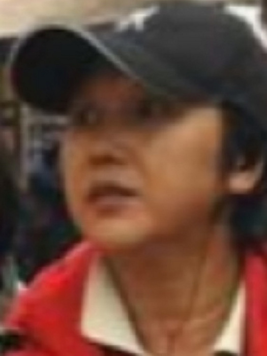 劉靜儀 劉靜儀