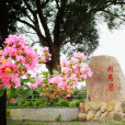 相思嶺 相思嶺