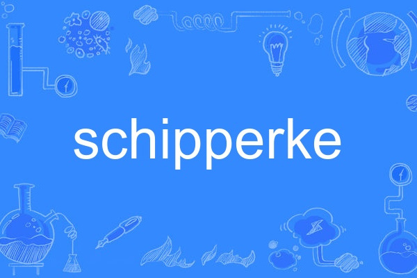 schipperke schipperke