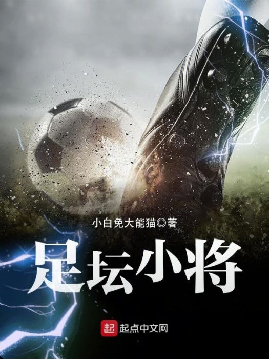 足壇小將 足壇小將