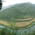 仁江河 仁江河