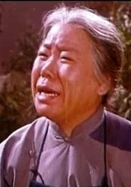 杜鵑山(楊春霞主演電影)