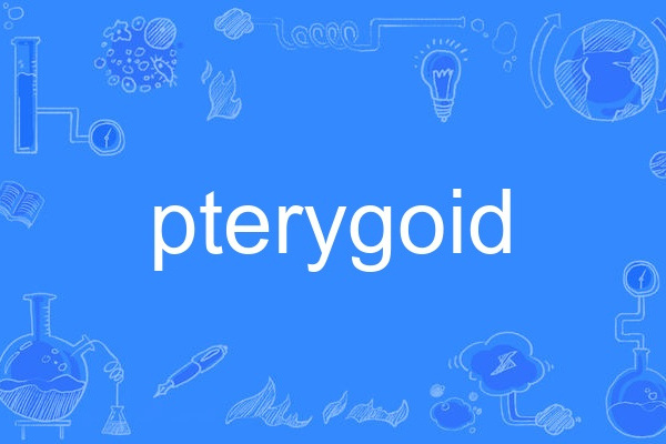 pterygoid pterygoid
