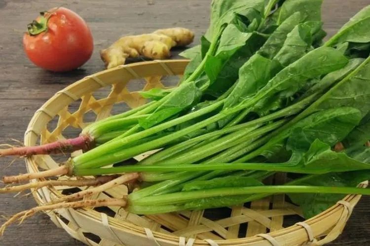 巴菠1號 巴菠1號