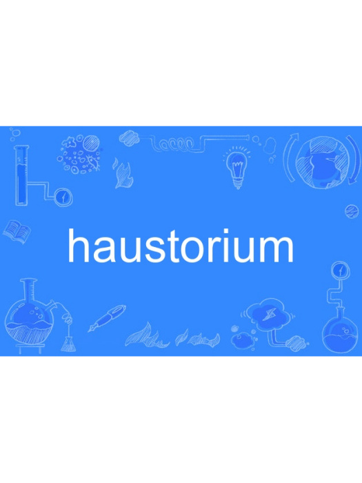 haustorium haustorium
