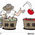 激素蔬菜 激素蔬菜