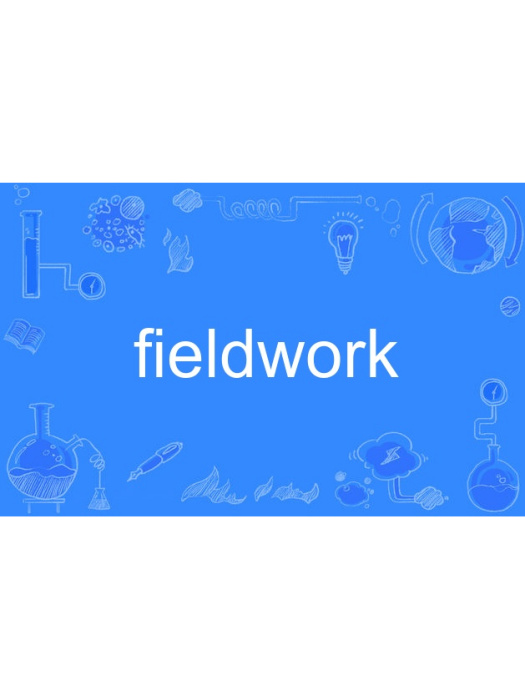 fieldwork fieldwork