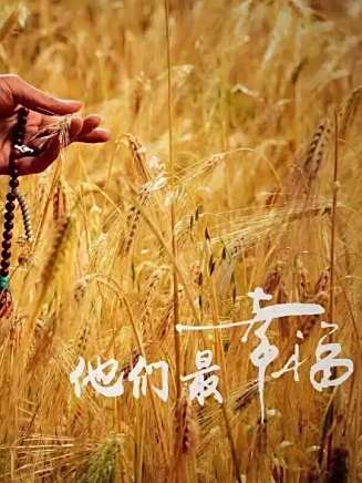 金澤灝