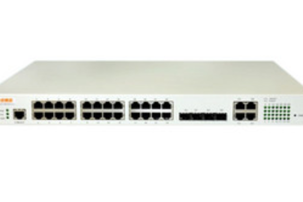 斐訊FS3600-P24E 斐訊FS3600-P24E