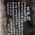 袁滋
