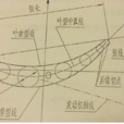 葉片安裝角 葉片安裝角
