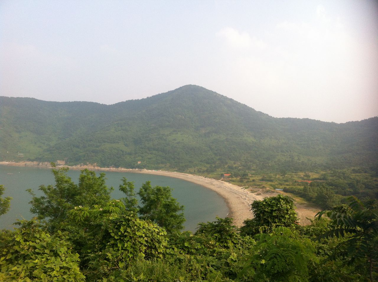 青山村(山東省嶗山區王哥莊青山村)