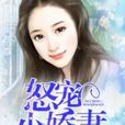 怒寵小嬌妻 怒寵小嬌妻