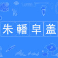 朱轓皁蓋