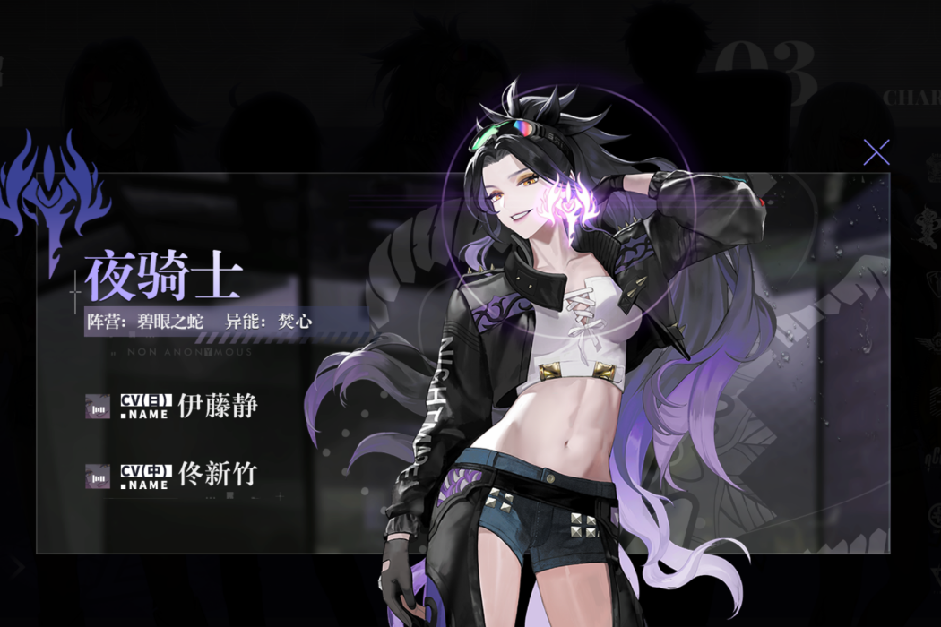 夜騎士 夜騎士