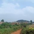 咱聾村 咱聾村