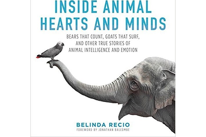 Inside Animal Hearts and Minds Inside Animal Hearts and Minds