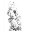 張農14號 張農14號