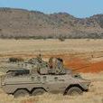 南非蜜獾輪式步兵戰車