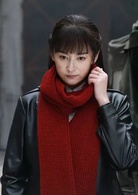 摧毀(2016年金曙執導電視劇)