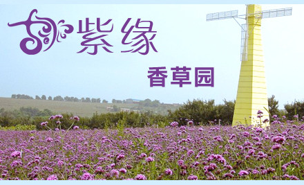 濟南紫緣香草園
