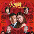 火蝴蝶(2008年香港亞視出品時裝商戰劇)