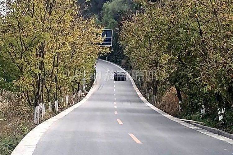 白陳公路 白陳公路