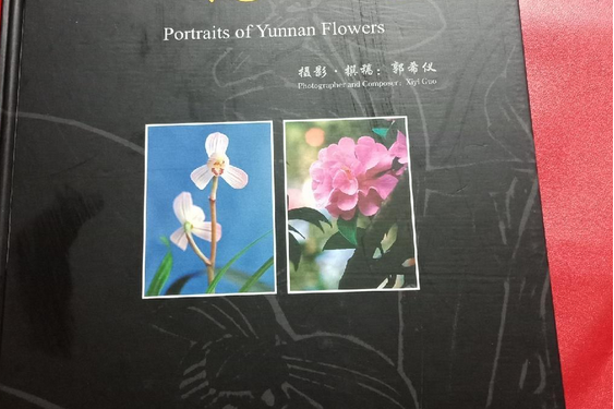雲花寫真