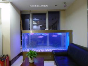 耐德LED魚缸防水燈