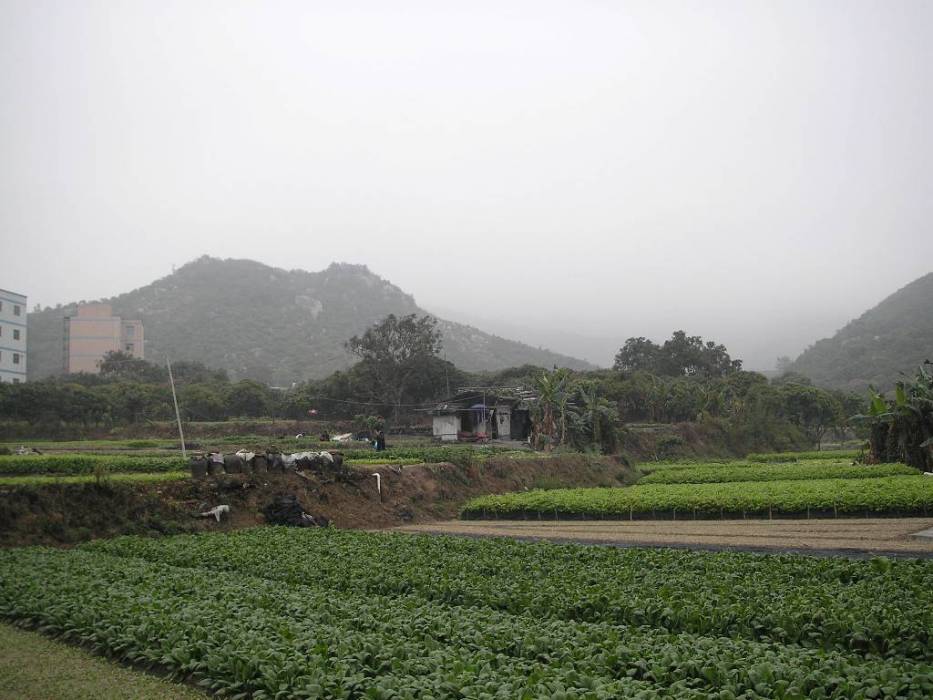 石陂頭 石陂頭