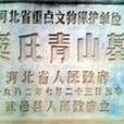 竇氏青山墓(安成侯墓(河北省武邑縣竇氏青山墓)) 竇氏青山墓(安成侯墓(河北省武邑縣竇氏青山墓))