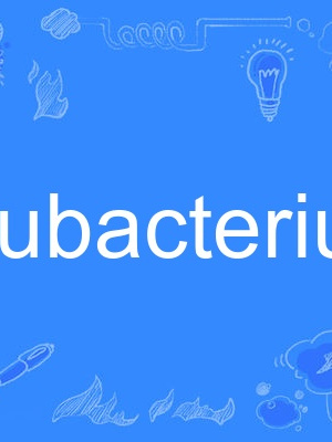 eubacterium eubacterium