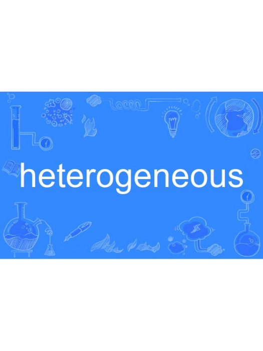 heterogeneous heterogeneous