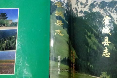 霍城縣誌 霍城縣誌