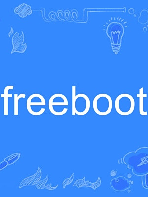 freeboot