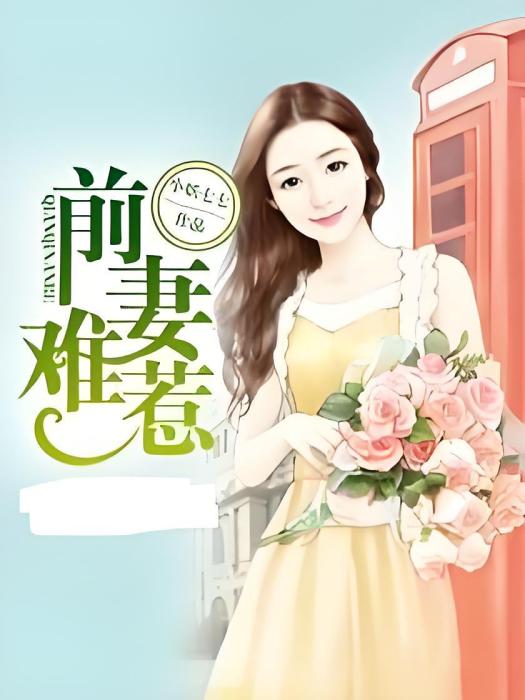 前妻難惹 前妻難惹