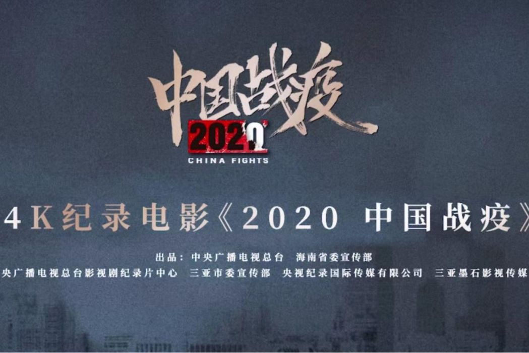 2020,中國戰疫 2020,中國戰疫