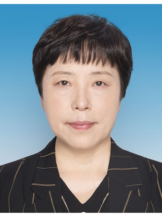 陳霞(河南省國防動員辦公室(河南省人民防空辦公室)副主任) 陳霞(河南省國防動員辦公室(河南省人民防空辦公室)副主任)