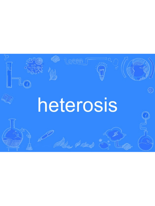 heterosis heterosis
