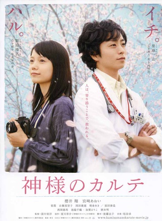 宮崎葵 宮崎葵