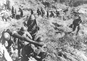 中國抗日戰爭最後一站——西峽口戰役