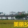 龍嶺鎮(江西贛州市南康區龍嶺鎮) 龍嶺鎮(江西贛州市南康區龍嶺鎮)