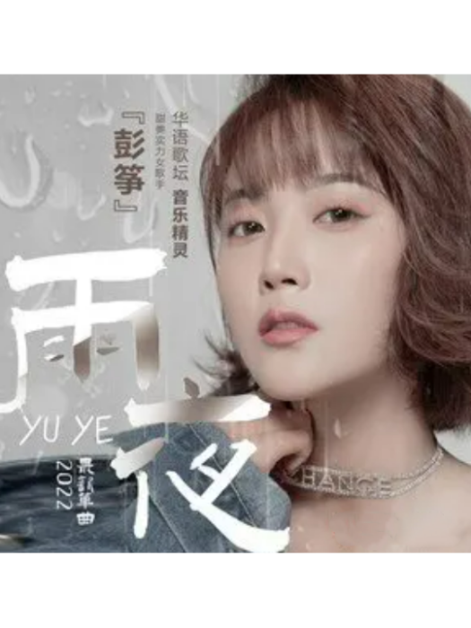 雨夜(彭箏演唱的歌曲) 雨夜(彭箏演唱的歌曲)