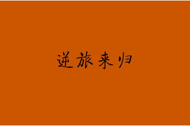 逆旅來歸 逆旅來歸